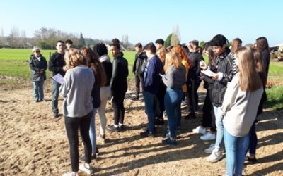 Visite d’une ferme bio par les 1ère STMG (mars 2019)