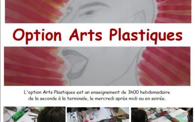 Option Arts Plastiques