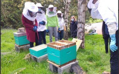 La 1ére séance d’apiculture a réuni une vingtaine d’élèves et de professeurs (mars 2021)