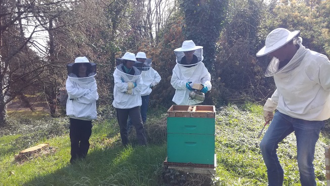 Six apiculteurs ont regardé l’ état de la ruche