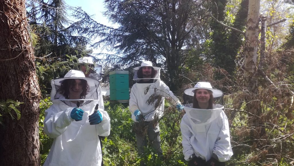 Quatre élèves de terminale ont  ensemencé une nouvelle ruche (avril 2024)