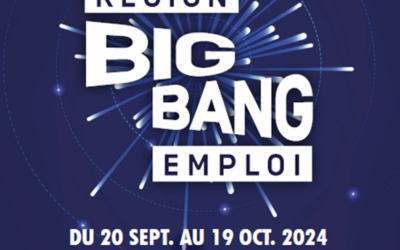 « Big Bang de l’emploi » avec une classe de 2nde